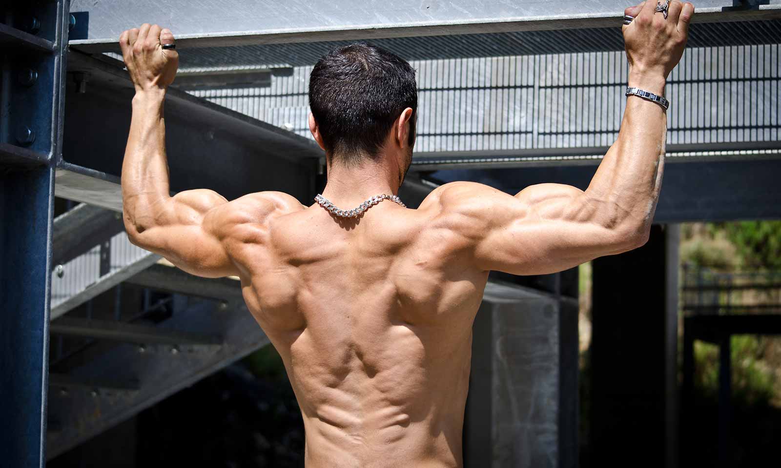 Muscle back destroy best adult free photos