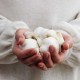 4 Amazing Health Benefits Of Garlic