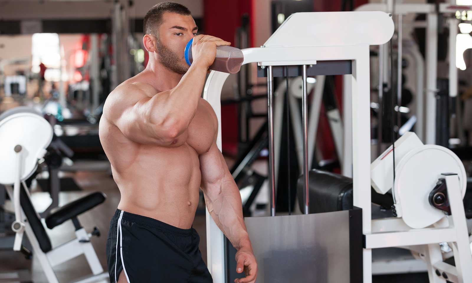 Five Ways Of Choosing The Best Protein Powder For You
