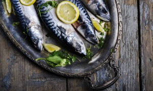 Reasons To Get Hooked On Mackerel