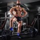 Six Great Muscle Building Tips