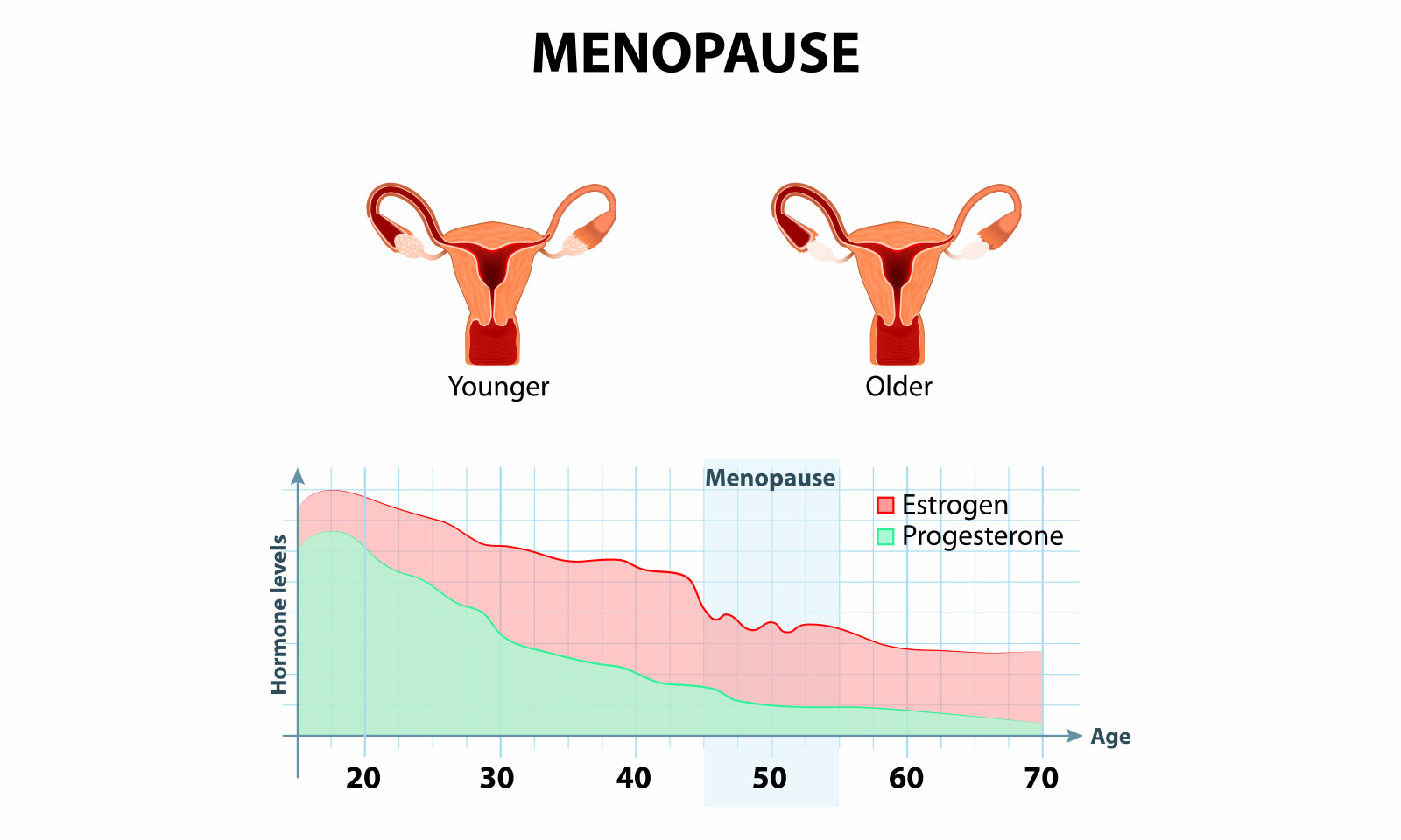 Перед менопаузой месячные. Климакс в среднем. Средний Возраст менопаузы. Средний Возраст климакса у женщин. Диаграмма менопаузы по возрасту.