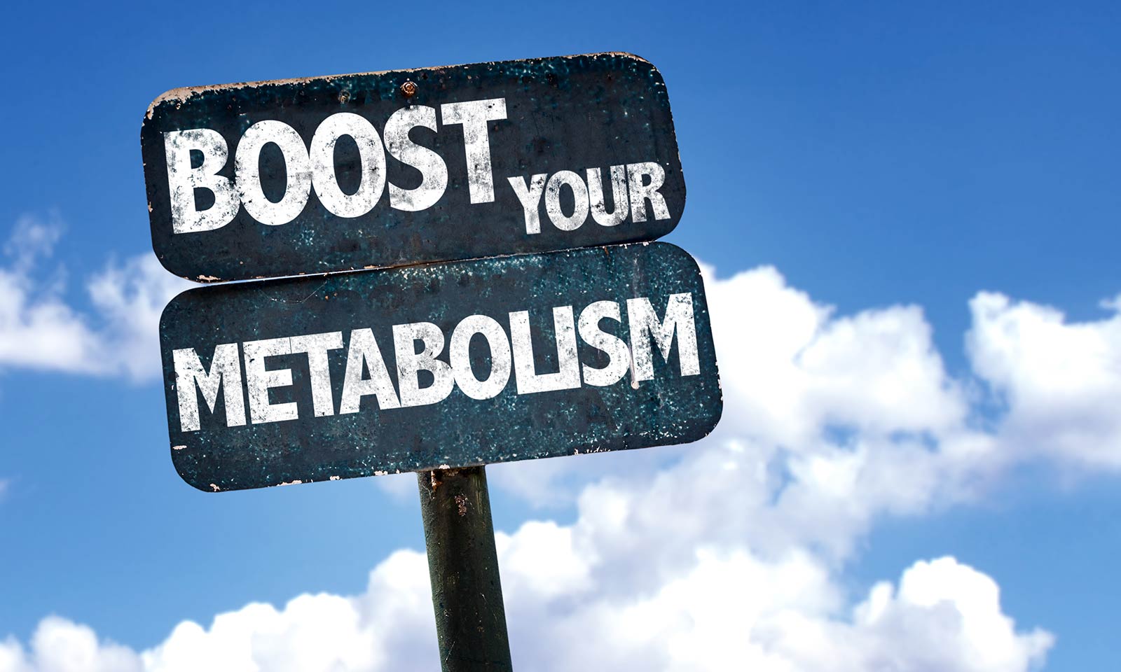 8 Effective Ways to Increase Your Metabolism