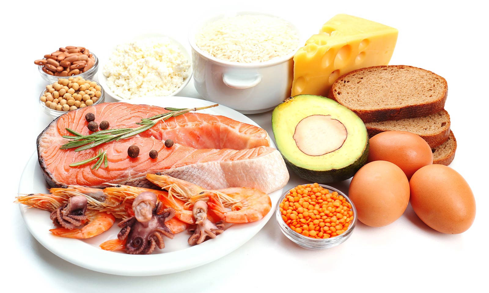 Основное питание белки
