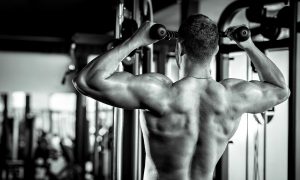seven-reasons-why-your-gains-have-stalled