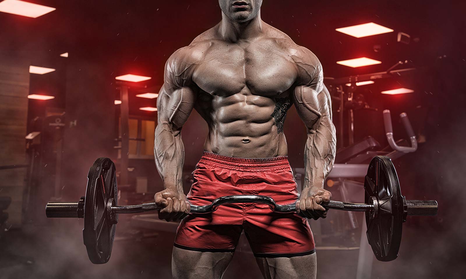 6-interesting-facts-about-bodybuilders