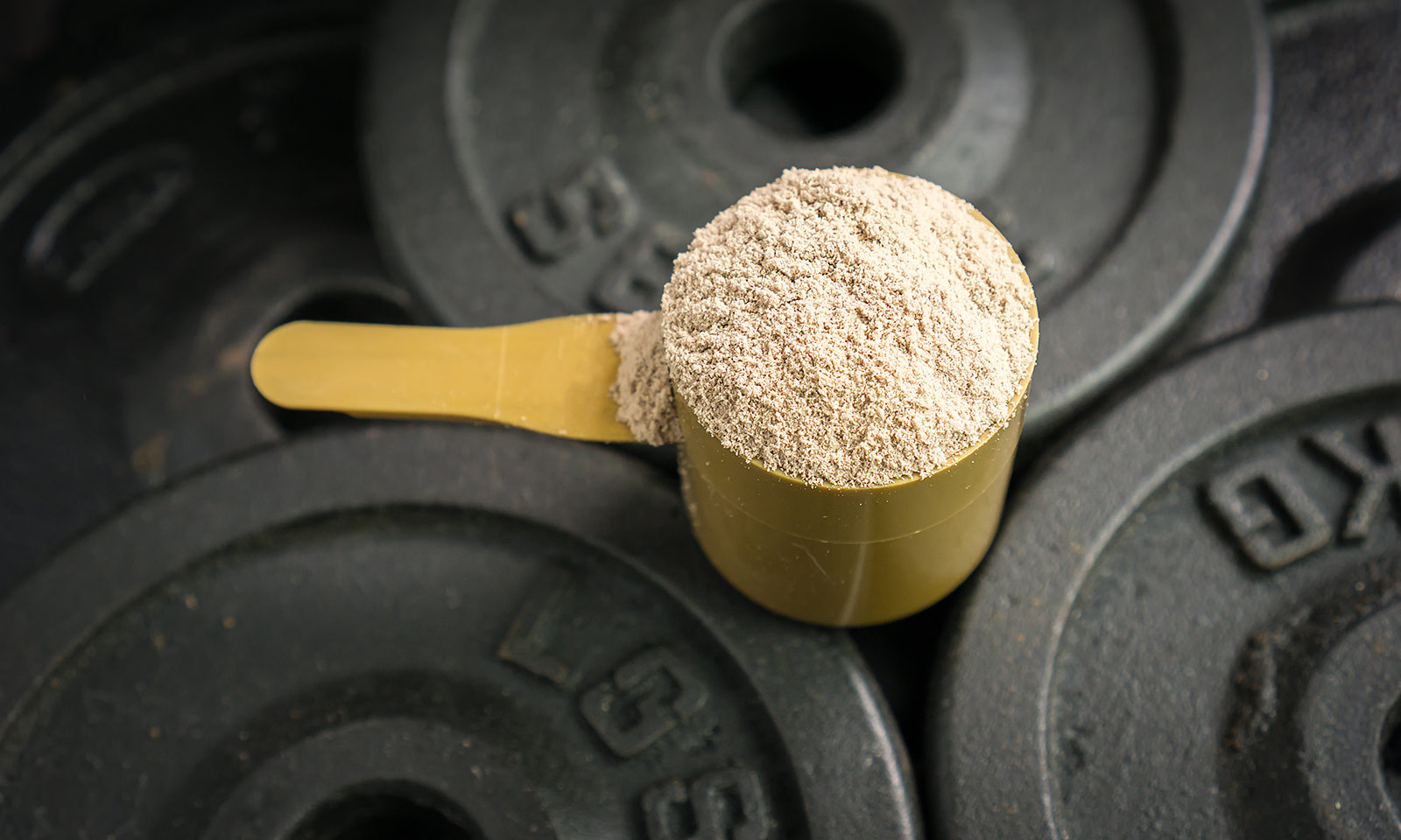 Our Third Party Protein Testing Program and Amino Spiking – A Detailed ...